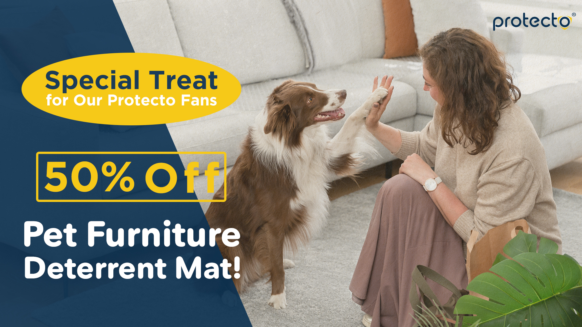 Pet Furniture Deterrent - 1